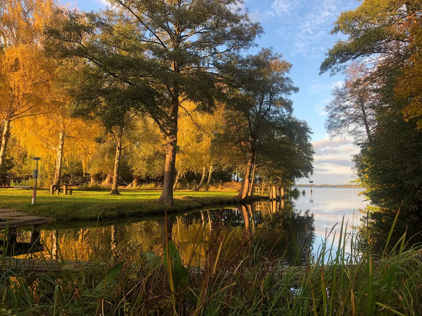 Herbstliche Bäume am Seeufer spiegeln sich im ruhigen Wasser